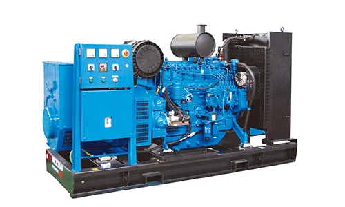 WPG100F96LAG Gas Generator Set